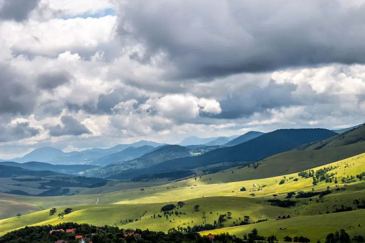 Zlatiborska brda i pašnjaci leti